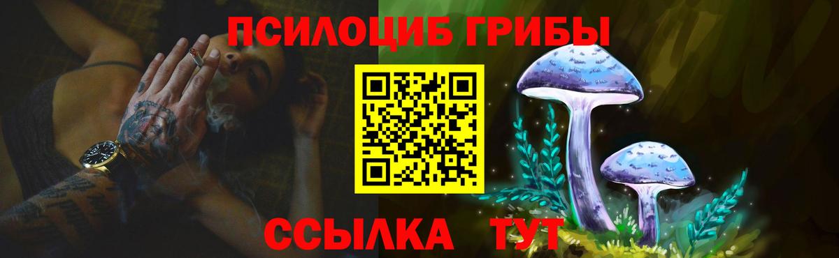 Галлюциногенные грибы GOLDEN TEACHER Карасук